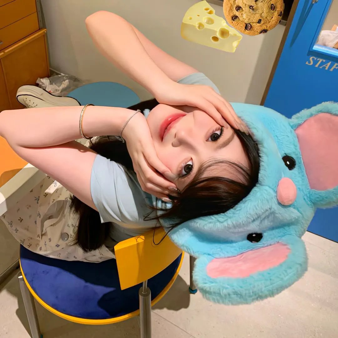 循环绑架 排行封面
